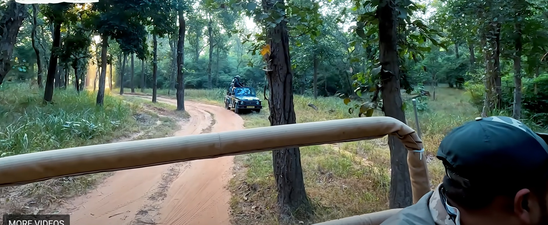 BANDHOVGARH SAFARI
